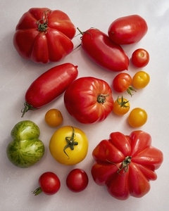 View from above variety of heirloom tomatoes View from above variety of heirloom tomatoes