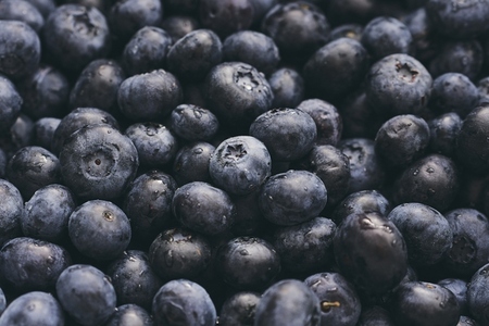 Close up full frame shot of fresh