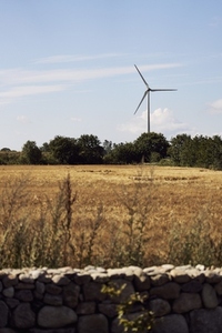Wind turbine behind trees on sunny rural farm Wind turbine behind trees on sunny rural farm