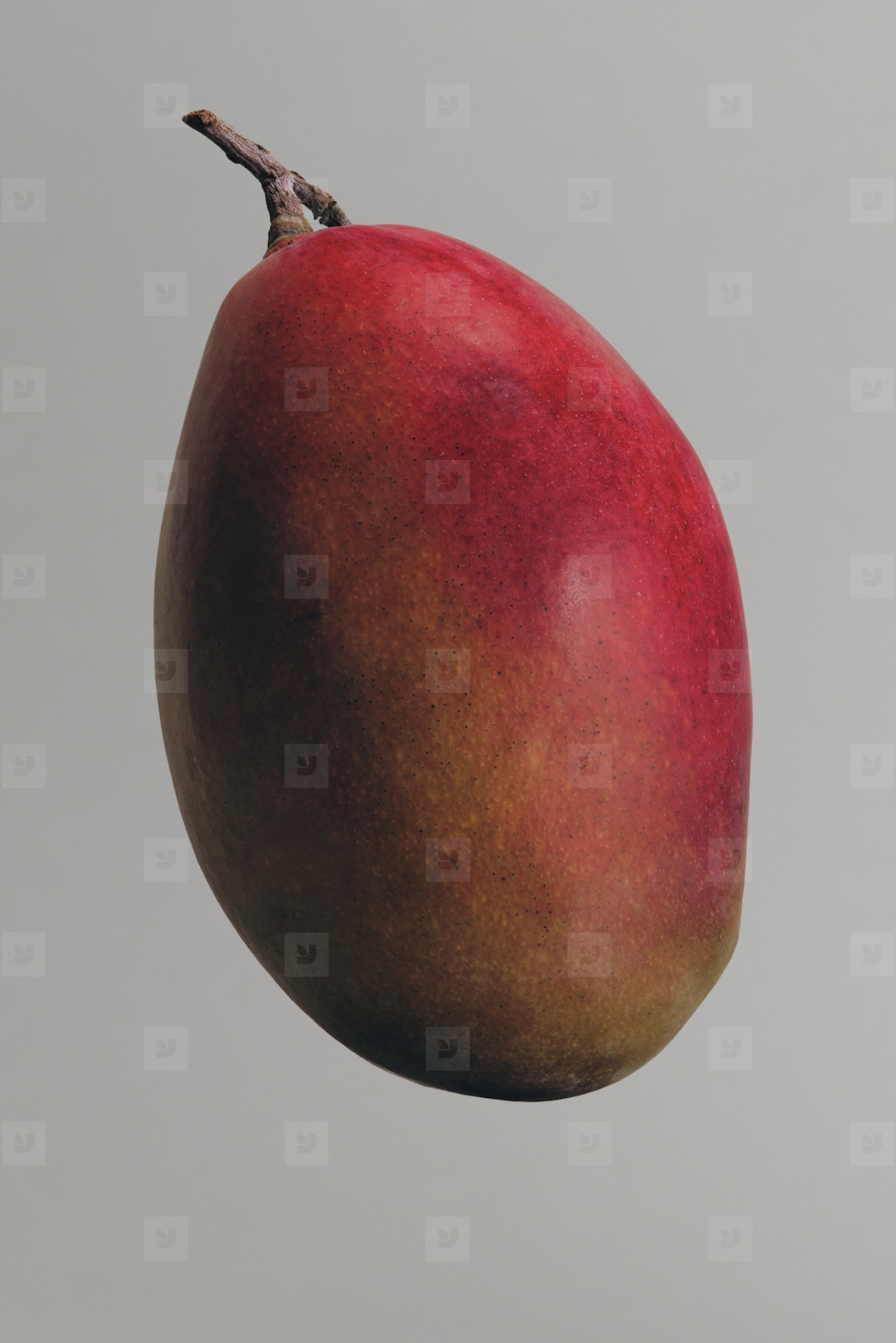 Close up of vibrant ripe red mango floating against gray background
