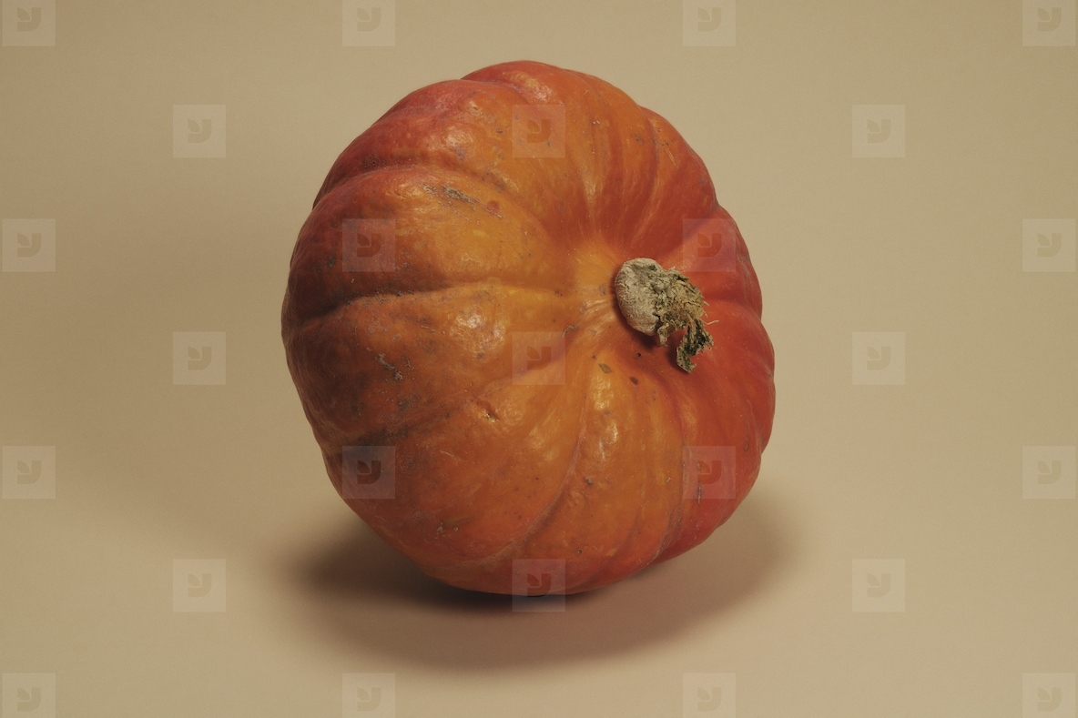 Still life close up of orange Hokkaido pumpkin balancing on side