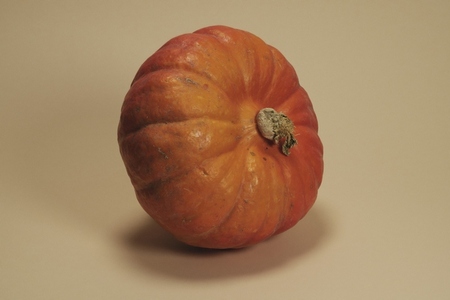 Still life close up of orange Hokkaido pumpkin balancing on side
