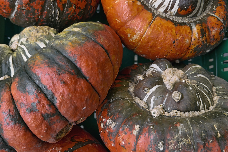 Close up of view from above of a group of patterned turban squash