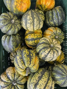View from above group of freshly harvested