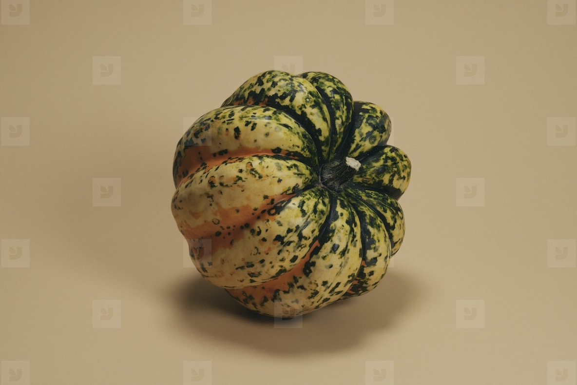 Still life of speckled sweet dumpling squash leaning