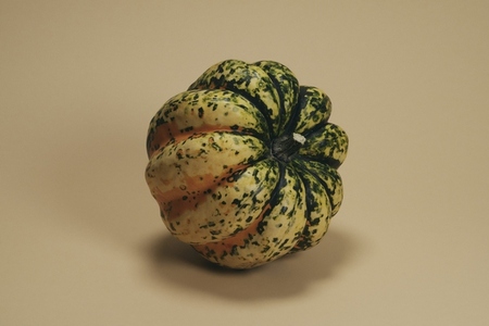 Still life of speckled sweet dumpling squash leaning