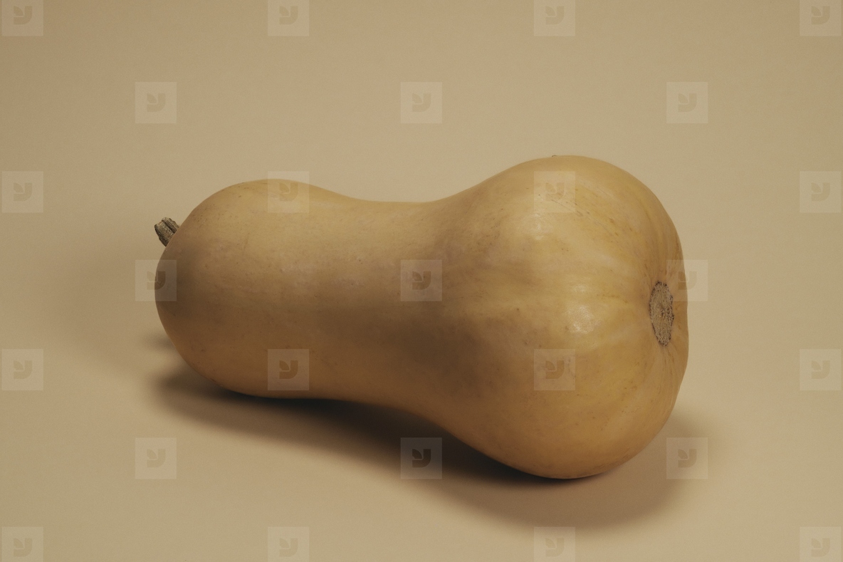 Close up still life of butternut squash laying on side