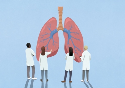 Scientists examining large pair of lungs