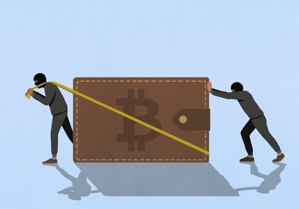 Thieves stealing large Bitcoin wallet