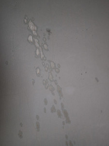 Creepy Attic Stain on Wall
