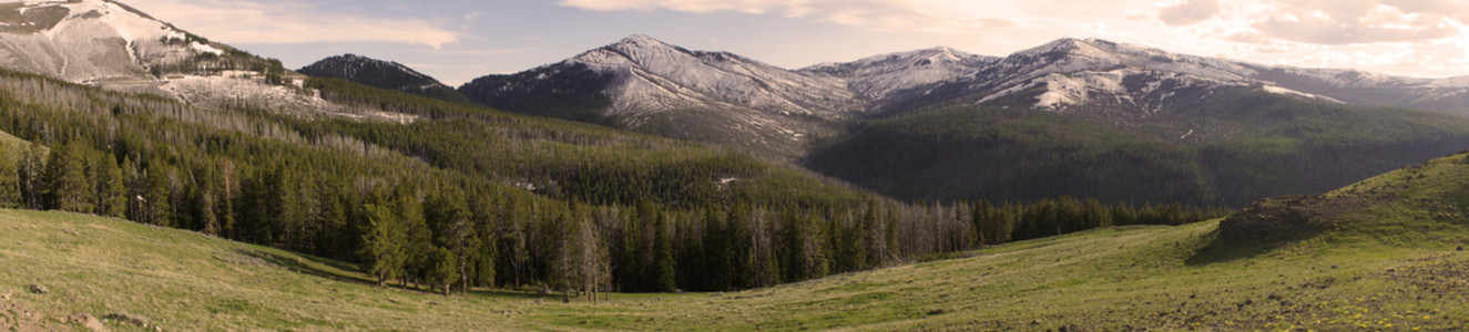 Yellowstone Panoramic