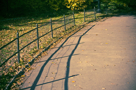 Fence near path