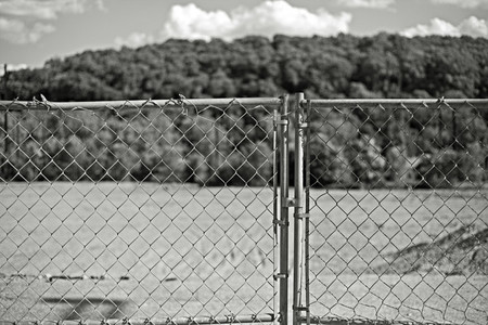 chain link fence and trees