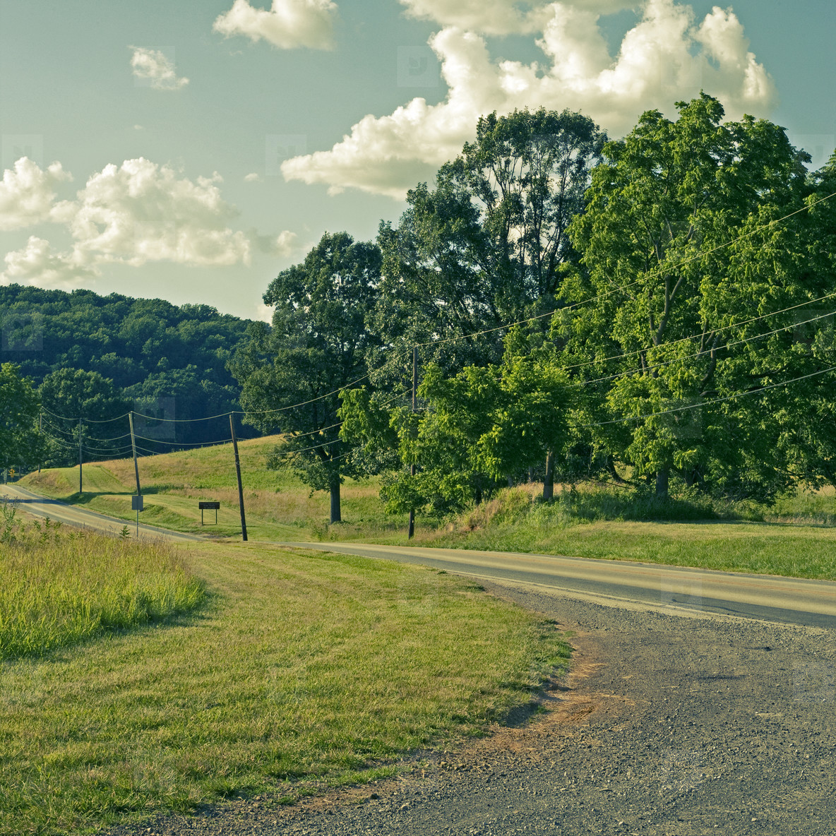 Winding road into park stock photo (35545) YouWorkForThem
