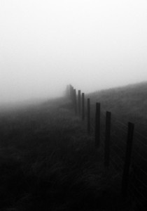 Through the mist