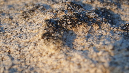 Rock detail