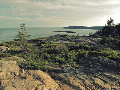 Acadia coastline