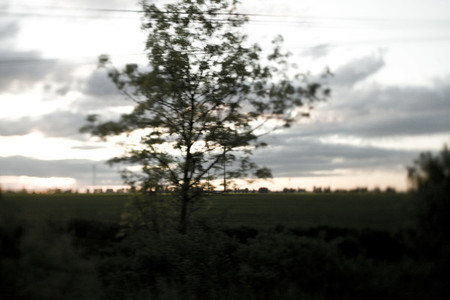 Landscape 03