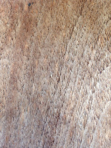 Wood background Wooden board