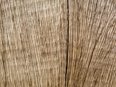 Wood background  Wooden board