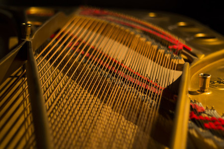 Inside The Piano