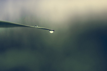 Water drop from grass