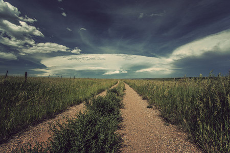 Lonely path in Colorado