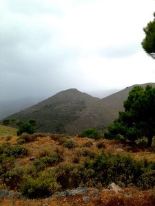 Andalusian Hillscape