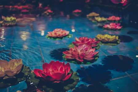 Floating Flowers