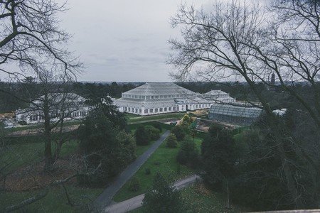 Kew Gardens 07