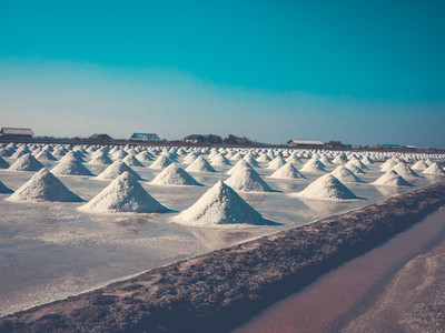 Salt Farm