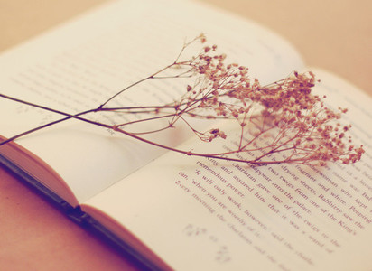 Old book with dried flowers