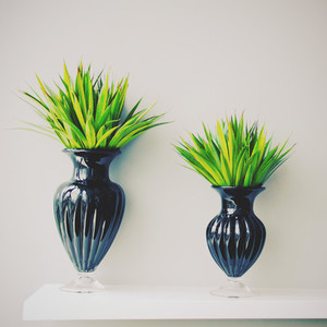 Plant in black vase decorated