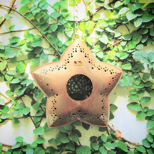 Old star hanging for decorated