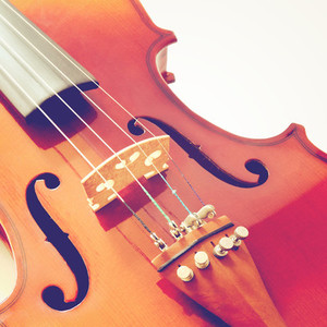 Part of violin