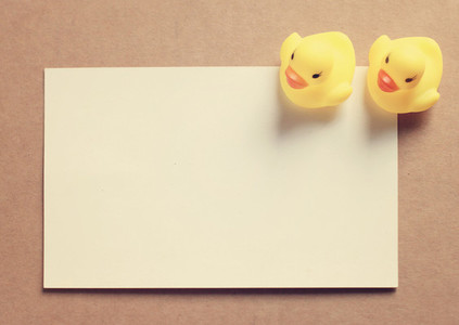 Two doll ducks on blank card
