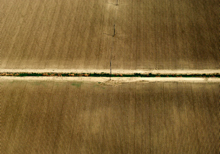 Aerial View Crops