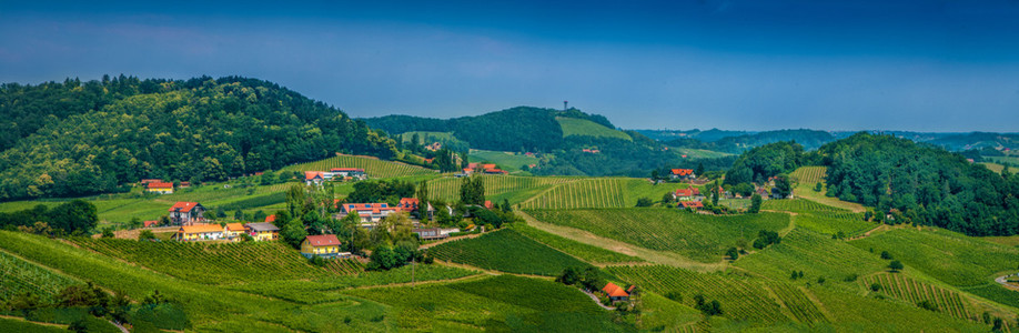 Panorams   wine hills