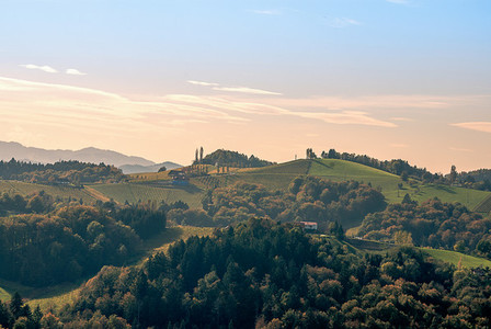Autumn landscape   wine hills
