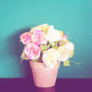 Rose in flowerpot