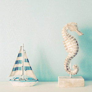 Seahorse and ship for decorated