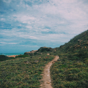 View of a path to the beach