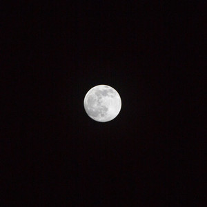 Light Moon 2