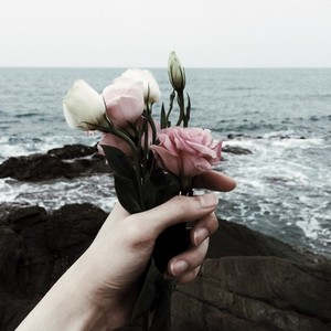 Hand holding flowers
