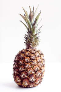 Tropical pineapple isolated