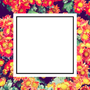 design frame label and flower
