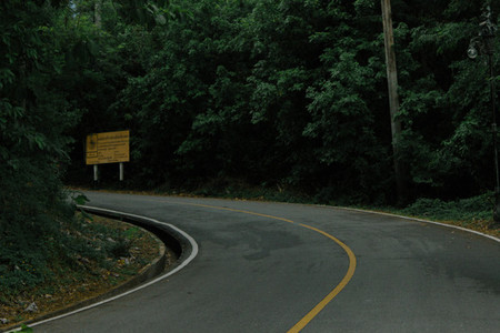 Asphalt road in rainforest
