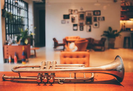 Old trumpet in living room