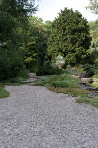 A path through the garden