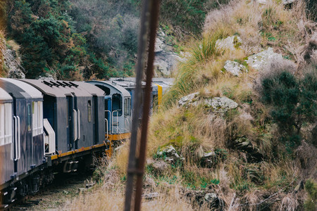 New Zealand Train Ride